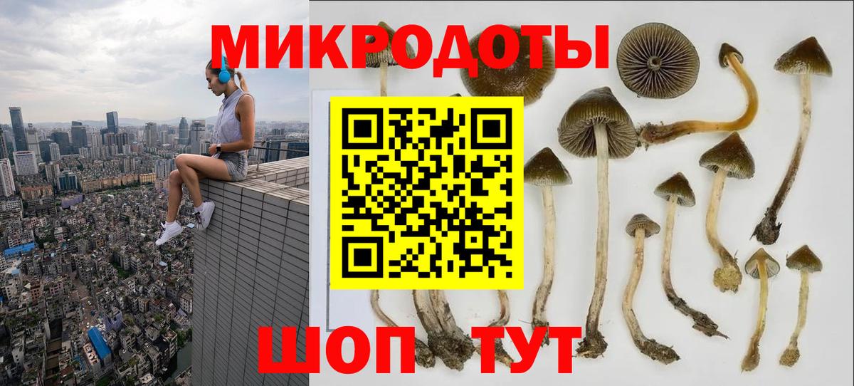 Псилоцибиновые грибы Psilocybine cubensis Краснодар